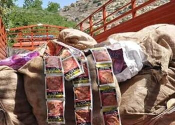 शहापूर तालुक्यातील डोळखांब येथे पोलिसांनी नऊ लाख रुपये किमतीचा प्रतिबंधित गुटखा केला जप्त.