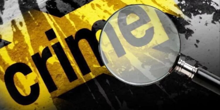 हिंगणघाट शहरात व्यवसायिकाचा लुटमाारीचा प्रयत्न फसला, व्यापारी सुखरूप.