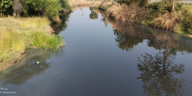 रसायन युक्त पाण्यामुळे ब्राह्मणी येथील खडक नदी दूषित, शेती, प्राणी व नागरिकांच्या आरोग्यावर परिणाम.