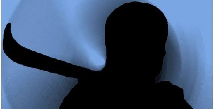 युनिट 6 चा पुन्हा दणका…पुणे शहरात कोयता घेऊन दहशत निर्माण करणाऱ्या आरोपिंना गुन्हे शाखा युनिट ६ ने केले जेरबंद…..