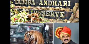 १ कुटुंब १ रोजगार ही योजना राबवा, ताडोबा क्षेत्रातील समस्त गावांना समान रोजगाराची संधी द्या: सुरज ठाकरे आक्रमक