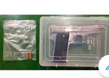 रेकॉर्डवरील सराईत गुन्हेगाराकडुन एक गावठी बनावटीचे पिस्टल व २ काडतुसे जप्त