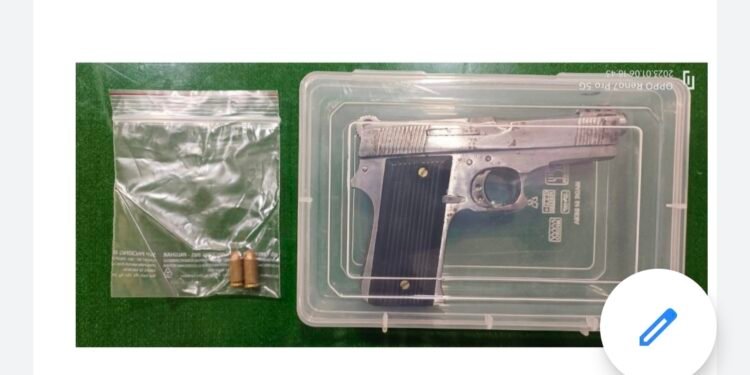 रेकॉर्डवरील सराईत गुन्हेगाराकडुन एक गावठी बनावटीचे पिस्टल व २ काडतुसे जप्त