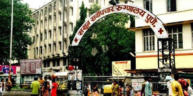 ससुन हॉस्पिटलमध्ये  टोळ्यांमध्ये झाला राडा, हडपसर पोलिसांनी घेतले एक जण ताब्यात