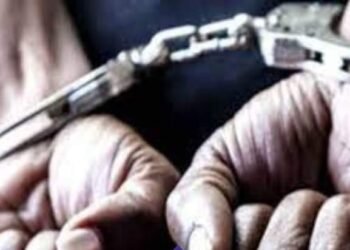 अनेक गंभीर गुन्ह्यांमध्ये सहभागी असलेला  तडीपार गुंडाला पोलिसांनी केले जेरबंद.