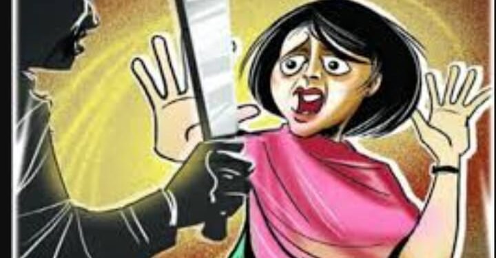 नाशिक: भाऊ आणि बहीणीवर थेट कोयत्यानेच हल्ला, टवाळखोरांना कायद्याचा किंवा पोलिसांचा धाक राहिला नाही का?