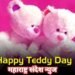 “व्हॅलेंटाईन वीक” आज “टेडी डे” साजरा करा आपल्या आवडत्या जिवलगा बरोबर.