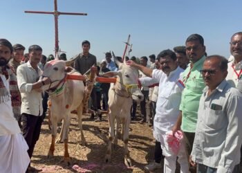 पाचोरा तालुक्यातील शनीधाम येथे बैल गाडी शर्यतीचे भव्य उद्घाटन : अनेक बैलगाडींचा समावेश.