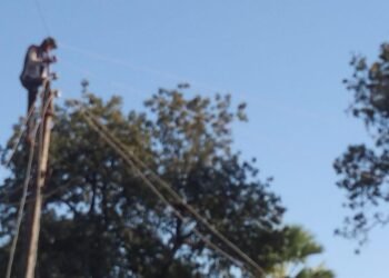 लोमकळणार्या विद्युत ताराची समस्या तात्काळ दुरुस्ती करा: माजी जि.प.अध्यक्ष अजय कंकडालवार