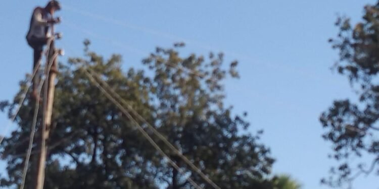 लोमकळणार्या विद्युत ताराची समस्या तात्काळ दुरुस्ती करा: माजी जि.प.अध्यक्ष अजय कंकडालवार