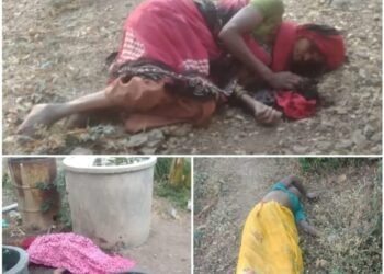 खळबळजनक: मंगळवेढ्यात एकाच घरातील तीन महिलांची दगडाने ठेचून निर्घृन हत्या; संपूर्ण सोलापूर जिल्हात खळबळ.