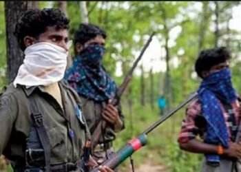 माओवाद्यांनी केलेल्या भाड हल्ल्यात सुरक्षा दलाचे तीन जवान शहीद.