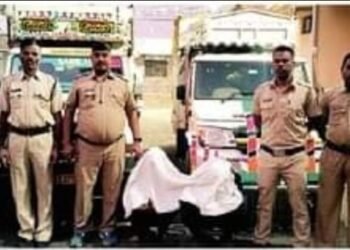 अवैधरित्या जनावरांची वाहतूक करणाऱ्या दोघांना अल्लीपूर पोलिसांनी  ठोकल्या बेड्या.