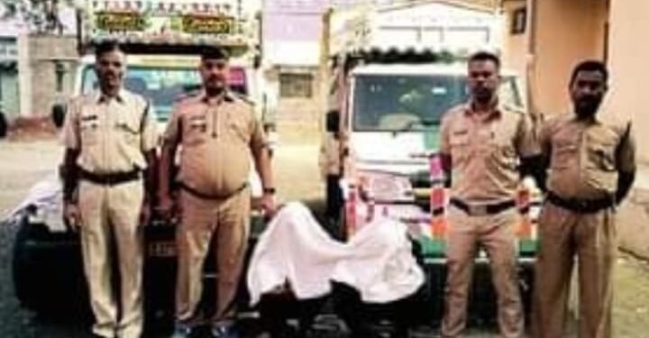 अवैधरित्या जनावरांची वाहतूक करणाऱ्या दोघांना अल्लीपूर पोलिसांनी ठोकल्या बेड्या.