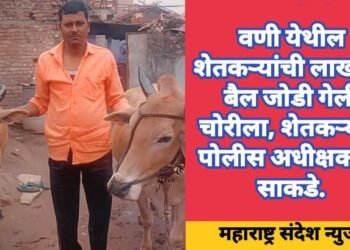 वणी तालुक्यात शेतकऱ्यांची लाखाची बैल जोडी चोरीला, शेतकऱ्याचे पोलीस अधीक्षकाकडे साकड.