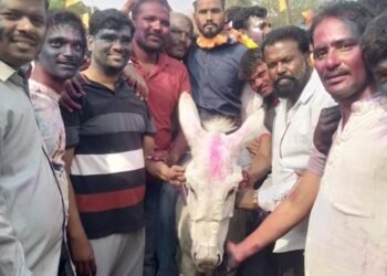 बीड: धुलीवंदनानिमित्त मानाच्या जावयाची काढली गाढवावरून मिरवणूक १५० वर्षांची अनोखी परंपरा.