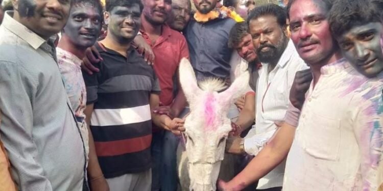 बीड: धुलीवंदनानिमित्त मानाच्या जावयाची काढली गाढवावरून मिरवणूक १५० वर्षांची अनोखी परंपरा.