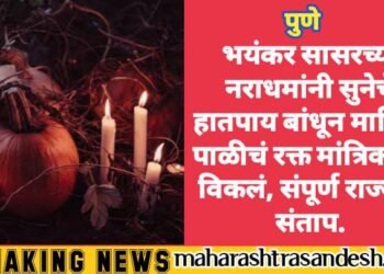 पुणे: भयंकर सासरच्या नराधमांनी सुनेचे हातपाय बांधून मासिक पाळीचं रक्त मांत्रिकाला विकलं, संपूर्ण राज्यात संताप.
