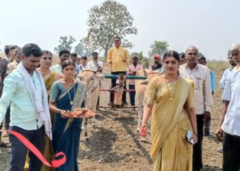 पेल्लोरा येथे शंकरपटाचे आयोजन, माजी नगराध्यक्ष अरुण धोटेंच्या हस्ते उद्घाटन.