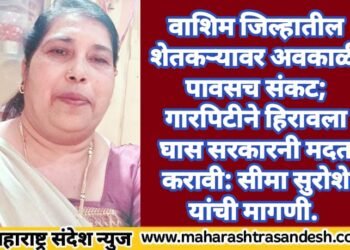 वाशिम जिल्हातील शेतकऱ्यावर अवकाळी पावसच संकट; गारपिटीने हिरावला घास सरकारनी मदत करावी: सीमा सुरोशे यांची मागणी.