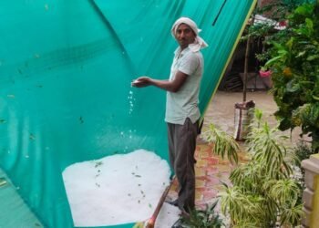 नागपुर जिल्ह्यात वादळी पावसासह गारपिटाचा तडाका रब्बीस भाजीपाल्याच्या पिकाचे नुकसान गहू लोळला आंब्याबारांचा संत्रा मोसंबी गळाली.