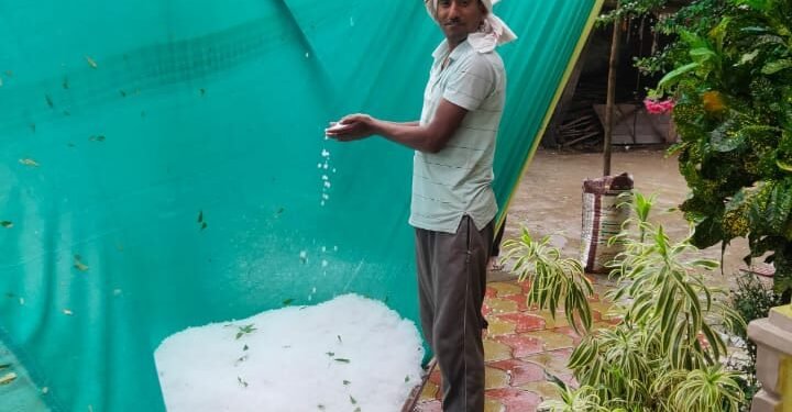 नागपुर जिल्ह्यात वादळी पावसासह गारपिटाचा तडाका रब्बीस भाजीपाल्याच्या पिकाचे नुकसान गहू लोळला आंब्याबारांचा संत्रा मोसंबी गळाली.