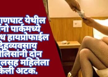 हिंगणघाट येथील नॅनो पार्कमध्ये अवैध हायप्रोफाईल देहव्यवसाय पोलिसांनी दोन दलालसह महिलेला केली अटक.