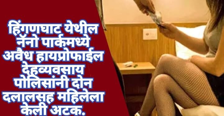 हिंगणघाट येथील नॅनो पार्कमध्ये अवैध हायप्रोफाईल देहव्यवसाय पोलिसांनी दोन दलालसह महिलेला केली अटक.