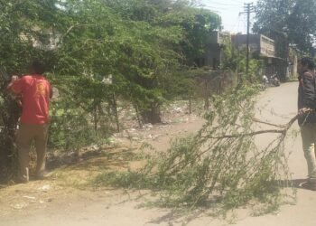 रस्त्यालगत काटेरी झाड तोडण्यासाठी निवेदना द्वारे उमेश इंगळे यांच्या मागणीची महानगर पालिका प्रशासनाने घेतली दखल.