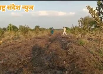 अज्ञात व्यक्तीने शेतात लावलेल्या आगेत शेकऱ्यांचे मोठे नुकसान, वाशिम जिल्ह्यातील घटना.