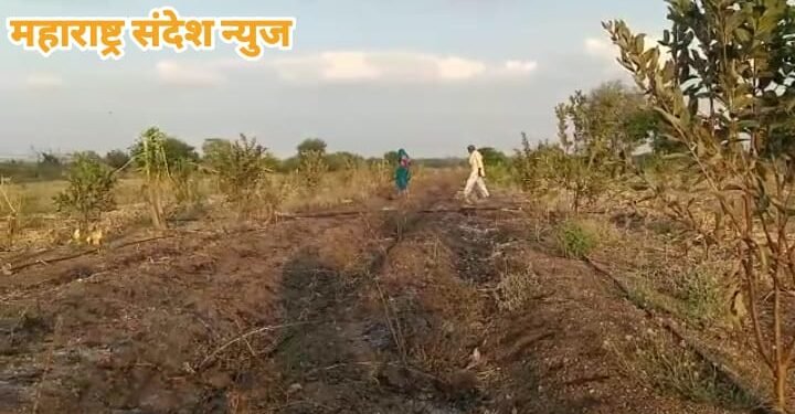 अज्ञात व्यक्तीने शेतात लावलेल्या आगेत शेकऱ्यांचे मोठे नुकसान, वाशिम जिल्ह्यातील घटना.