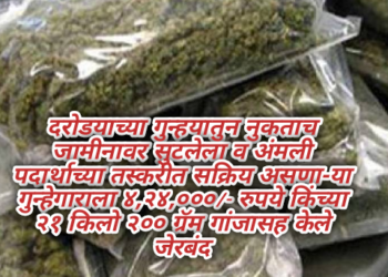 दरोडयाच्या गुन्हयातुन नुकताच जामीनावर सुटलेला व अंमली पदार्थाच्या तस्करीत सक्रिय असणा-या गुन्हेगाराला ४,२४,०००/- रुपये किंच्या २१ किलो २०० ग्रॅम गांजासह केले जेरबंद