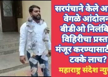 सरपंचाने केले आगळे वेगळे आंदोलन, बीडीओ निलंबित, विहिरीचा प्रस्ताव मंजूर करण्यासाठी 12 टक्के लाच?