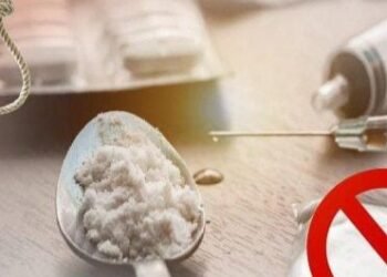 वर्धा जिल्हाच्या वतीने अमली पदार्थ विरोधी समितीची बैठक संपन्न.