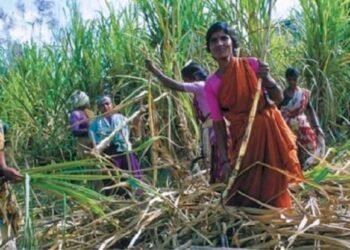 वाशिम जिल्हातील आश्रमशाळेत ऊसतोड कामगारांसाठी शिबीराचे आयोजन.