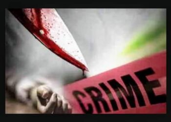 बल्लारपूर येथे जावयाची हातपाय बांधून गळा चिरून निर्मम हत्या, संपूर्ण गावात एकच खळबळ.