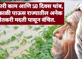 सरकारी काम आणि 50 दिवस थांब, अवकाळी पाऊस राज्यातील अनेक शेतकरी मदती पासून वंचित.