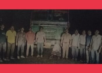 अवैधरित्या ट्रकमध्ये  गोवंश तस्करी, पोलिसांच्या कारवाई करत केली ३५ गोवंशांची  सुटका.