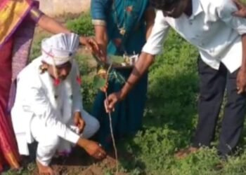 लाखांदूर तालुक्यातील दोनाड येत नवरदेवाने लग्नापूर्वी केलं वृक्षारोपण, पर्यावरण संरक्षणाचा संदेश.