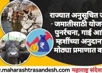राज्यात अनुसूचित जाती – जमातीसाठी योजनेची पुनर्रचना, गाई आणि म्हशींच्या अनुदानात मोठ्या प्रमाणात वाढ