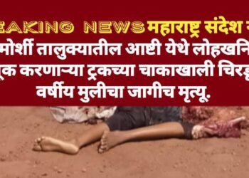 चामोर्शी तालुक्यातील आष्टी येथे लोहखनिज वाहतूक करणाऱ्या ट्रकच्या चाकाखाली चिरडून 12 वर्षीय मुलीचा जागीच मृत्यू.