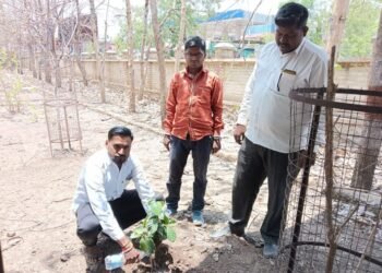 तथागत ग्रुप महाराष्ट्र राज्य संघटनेचे संस्थापक अध्यक्ष संदीप गवई यांच्या वाढदिवस वृक्षरोपण करून साजरा.