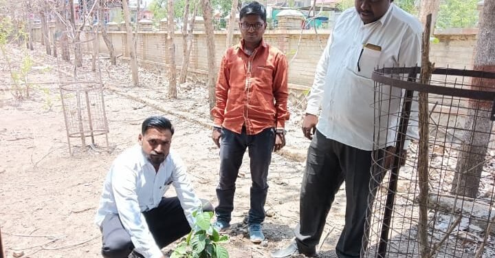 तथागत ग्रुप महाराष्ट्र राज्य संघटनेचे संस्थापक अध्यक्ष संदीप गवई यांच्या वाढदिवस वृक्षरोपण करून साजरा.