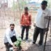 तथागत ग्रुप महाराष्ट्र राज्य संघटनेचे संस्थापक अध्यक्ष संदीप गवई यांच्या वाढदिवस वृक्षरोपण करून साजरा.