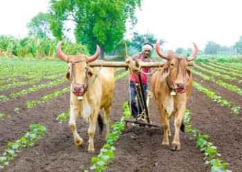 भूमिहीन दारिद्र्य रेषेखालील आदिवासींना कसण्यासाठी मिळणार हक्काची जमीन, चार एकर जिरायत अथवा दोन एकर बागायत जमीन.