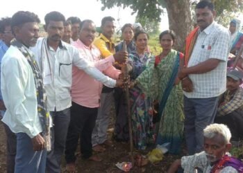 लाखांदूर तालुक्यातील दोनाड येथे रोजगार हमी योजनेच्या शुभारंभ.