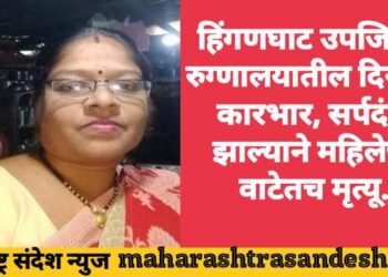 हिंगणघाट उपजिल्हा रुग्णालयातील दिरंगाई कारभार, सर्पदंश झाल्याने महिलेचा वाटेतच मृत्यू.
