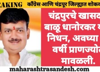 चंद्रपुरचे खासदार बाळू धानोरकर यांचे निधन, अवघ्या 48 वर्षी प्राणज्योत मावळली.