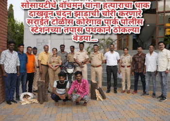 सोसायटीचे वॉचमन यांना हत्याराचा धाक दाखवून चंदन झाडाची चोरी करणारे सराईत टोळीस कोरेगाव पार्क पोलीस स्टेशनच्या तपास पथकाने ठोकल्या बेडया……
