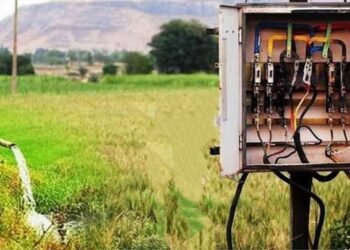 चंद्रपूर जिल्हात शेतात पिकांना पाणी देण्यासाठी गेलेल्या पितापुत्राला लागला विद्युत शॉक, पित्याचा जागीच मृत्यू.